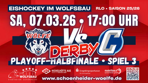 Playoff-Halbfinale Spiel 3 Wölfe gegen Chemnitz Crashers