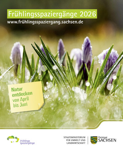 Moorgeschichten – Entdeckungen zwischen Wasser und Wald